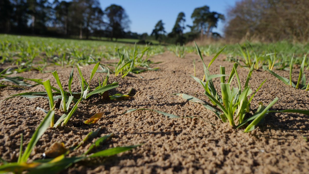 Well done to the @watercommongood for providing such an insightful report.

@aquagraincrops is on a mission to be a part of the collective solution, interested to know more? Please get in touch.

#water #watersaving #drought #agtech #foodtech500 

turningthetide.watercommission.org