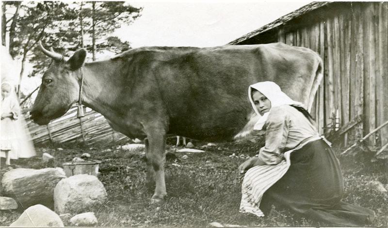Nälkä on aina ollut ihmisen seurana, mutta menneiden aikojen puutteesta kertovaa aineistoa on säilynyt vähän. Kuopion kulttuurihistoriallinen museo &amp; Työväenmuseo Werstas ovat koonneet nälänhädistä aineistopaketin: finna.fi/Content/nalanh…

#opehommat #oppiminen #finnaluokkahuone