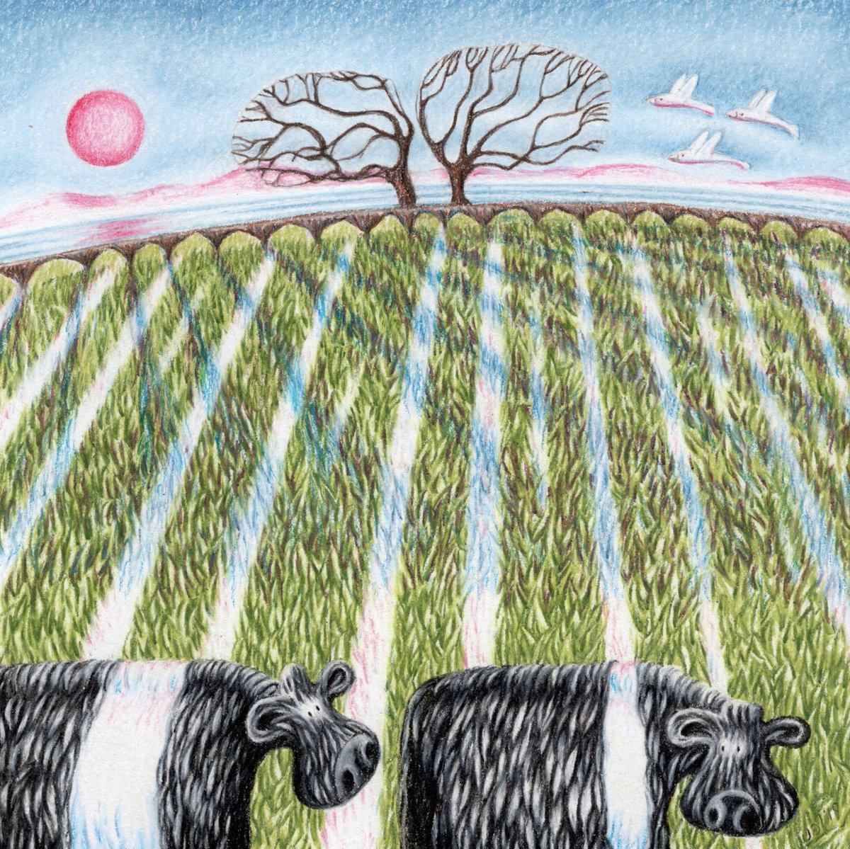 spring_fling's tweet photo. Studio 66 - Val Macadam - Quirky illustrative drawings inspired by country life, memories and wordplay. Find her near Kirkbean during Spring Fling. And see her Virtual Studio now - https://t.co/ky3JJmkEfQ
#SF2023 #springflingopenstudios #openstudios #dumfriesandgalloway https://t.co/08ok5CgIYT