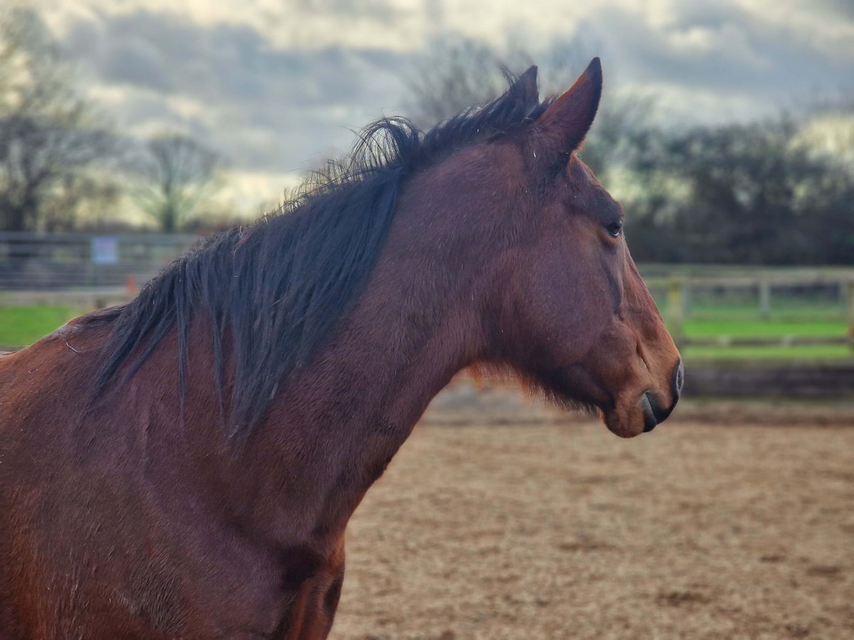 RedwingsTucker's tweet image. My friend Carmen is looking out for Friday! #MidWeekPickMeUp