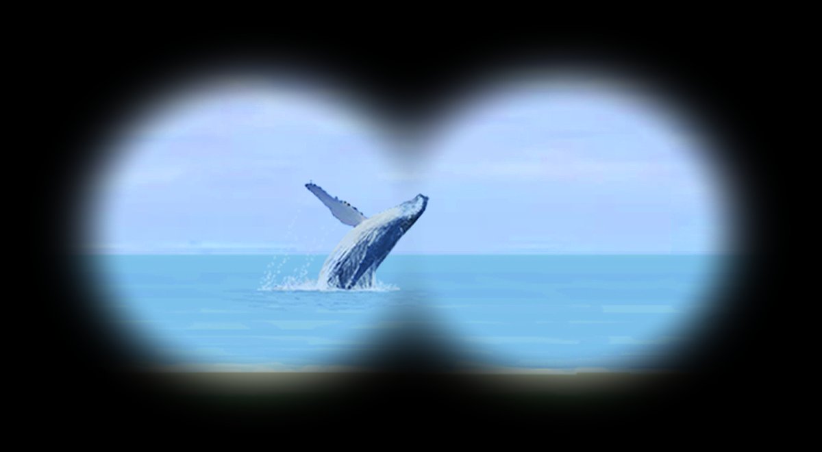 _WPZ_'s tweet photo. Hallo, zwaai zwaai, hier ben ik! Zie je mijn lange flipper? Ik ben een mega-ptera, letterlijk grote-vleugel, maar je mag mij ook #bultrug noemen. Want dat is wat je meestal van mij aan de horizon ziet.
Zwaai terug en stem op mij! #NationaalIJstijdzoogdier
https://t.co/7Sz70TUcuZ https://t.co/fayBMMRGD7