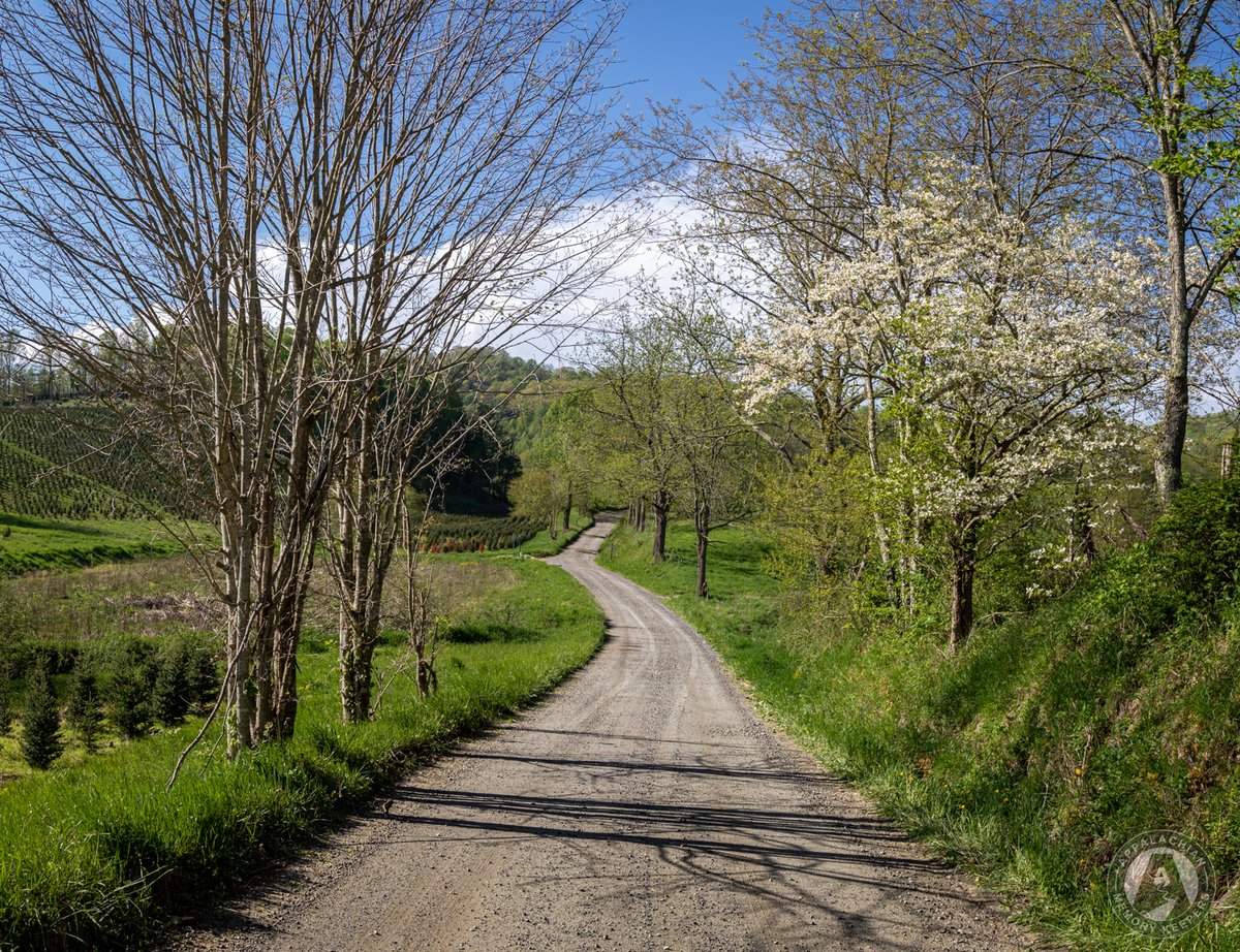 I am ready for a Springtime drive down an old dirt road! How 'bout you?

#appalachia