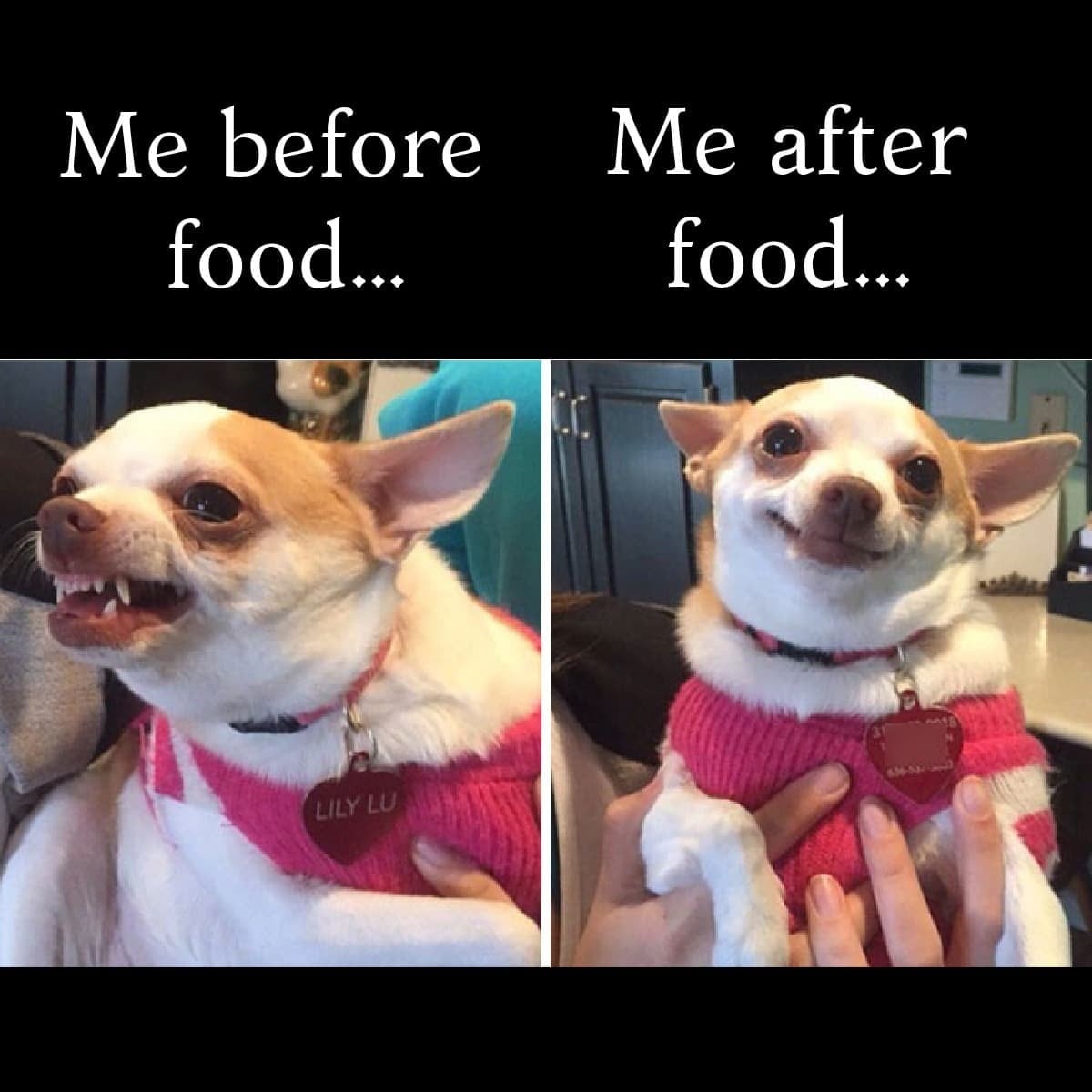 Brian Adams (@thomasj24113078) on Twitter photo 