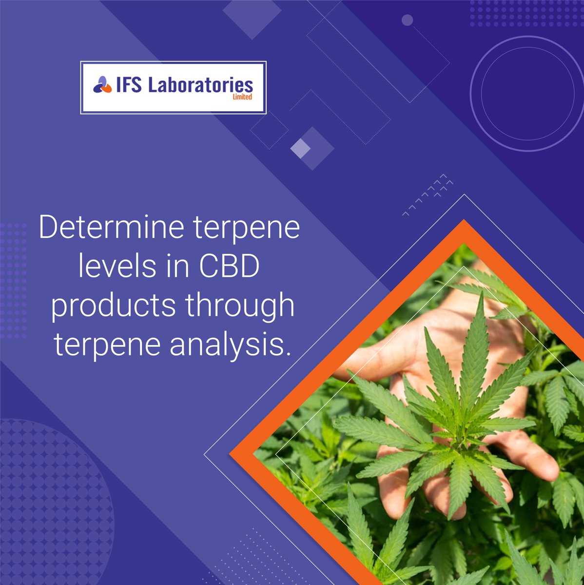 ltd_ifs2513's tweet image. #AnalyticalTesting for #Cannabis is essential to ensure quality &amp;amp; safety. We&apos;re committed to providing accurate results that meet all regulatory requirements.