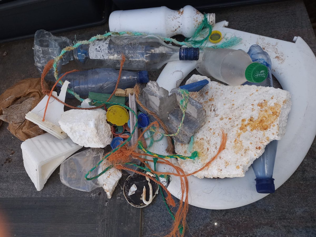 Veronique Frey (@veroniquelfrey) on Twitter photo More cleaning up for #GlobalRecyclingDay These plastics won't end up on the sea either! Thanks to <a href="/AnaGarciaAT/">Ana Teresa Garcia</a> #clubdelcarmen #goinggreen #creatingawareness #nomoreonesingleuseplastic More cleaning up for #GlobalRecyclingDay These plastics won't end up on the sea either! Thanks to <a href="/AnaGarciaAT/">Ana Teresa Garcia</a> #clubdelcarmen #goinggreen #creatingawareness #nomoreonesingleuseplastic