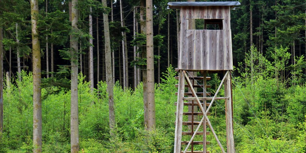 natuerlichjagd's tweet image. Hochsitz gesprengt: In Dalheim-Rödgen (Stadt #Wegberg/#NRW ) zerstörten Unbekannte einen Hochsitz in einem Waldstück!
natuerlich-jagd.de/news/unbekannt…
#jäger #jagd