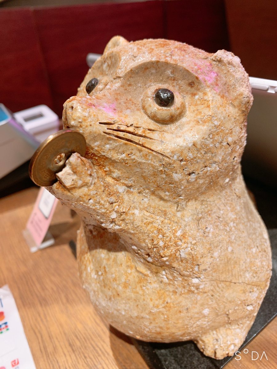 なんか可愛いのいました！ https://t.co/EGPjZrwlLn