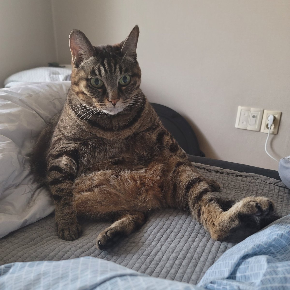 뭐 이렇게 허탈하고 넋나간 표정과 자세를 하고 계시는건데요;;;