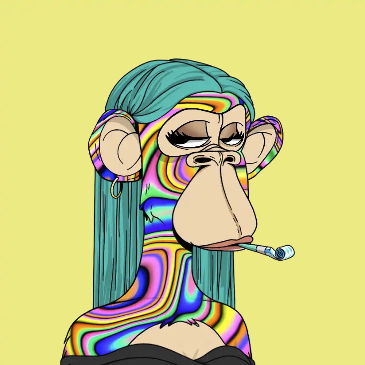 The Boredettes 🎀 tweet media