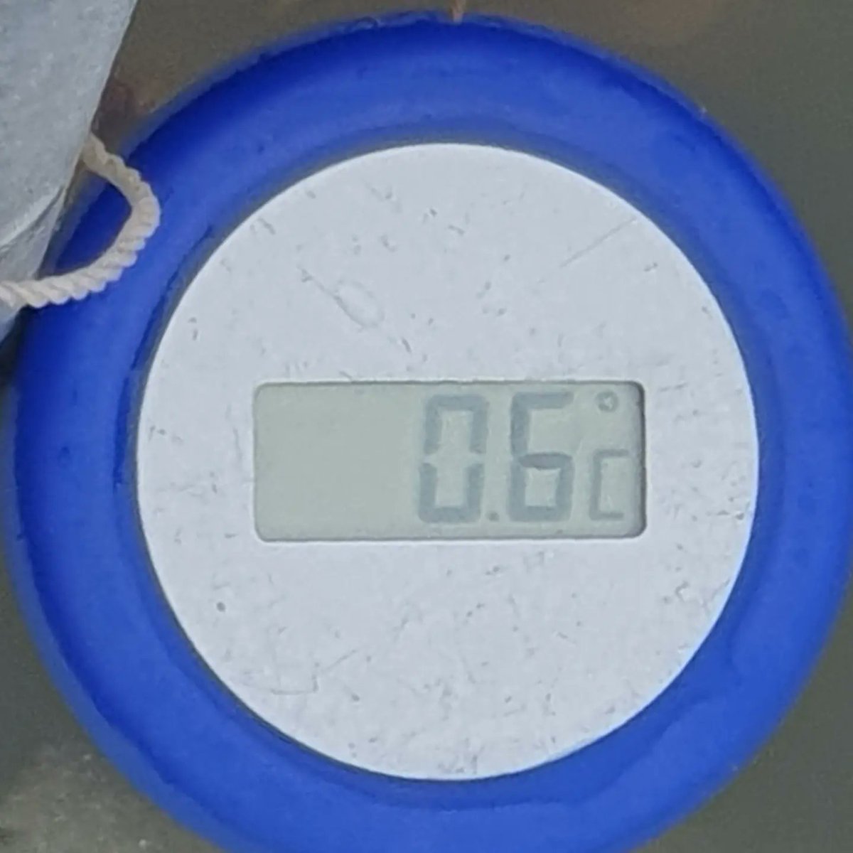 NilsMatsson's tweet image. En grå dag, litet regn har kommit och mer väntas, lätt sv vind. Mest snömos i badvaken. Isen ligger fortfarande. 0.6 grader i vattnet och 7 grader i luften, max 7 grader och min 3 grader. Ett dopp i vaken. #badavarjedag