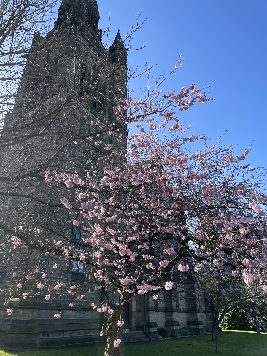 Harrogate Stuff tweet media