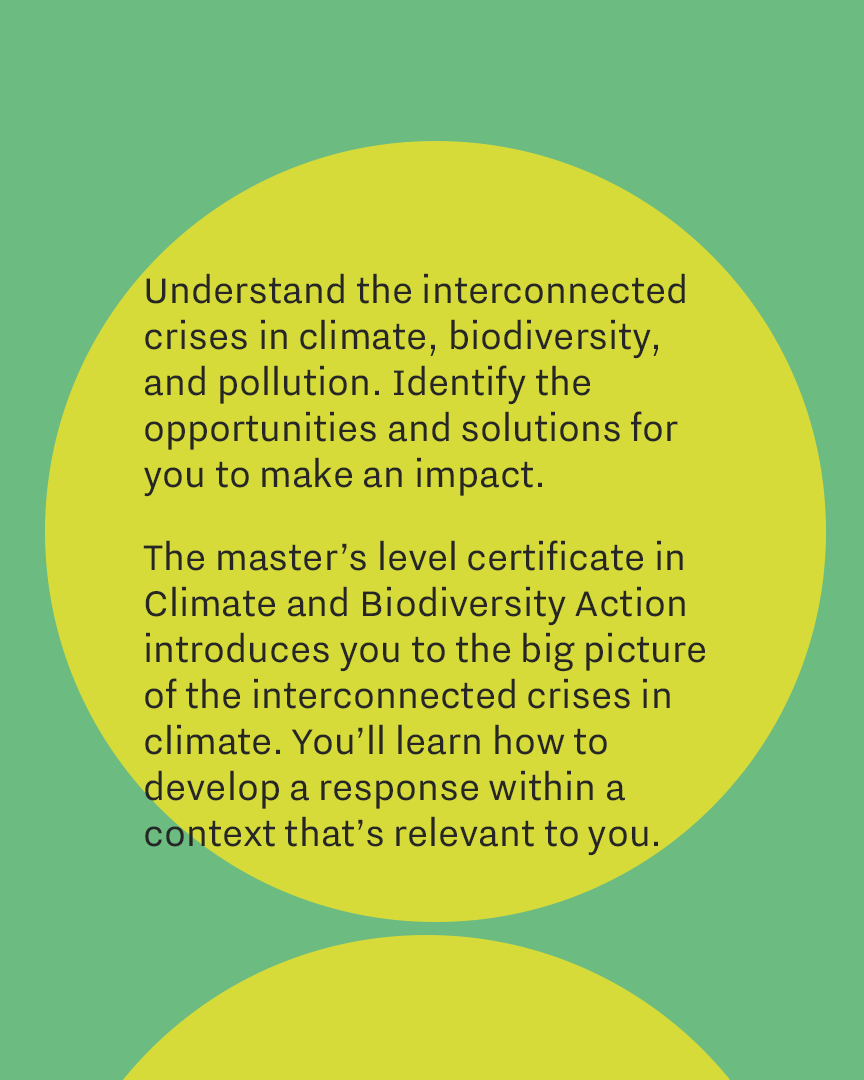 weareLIS's tweet photo. Introducing our Climate and Biodiversity Action master’s level certificate! This course is perfect for individuals who are passionate about climate and are looking to make a positive impact on the planet.

Learn more here 👉https://t.co/1ywJeuQY96 https://t.co/sxmFruLZSq