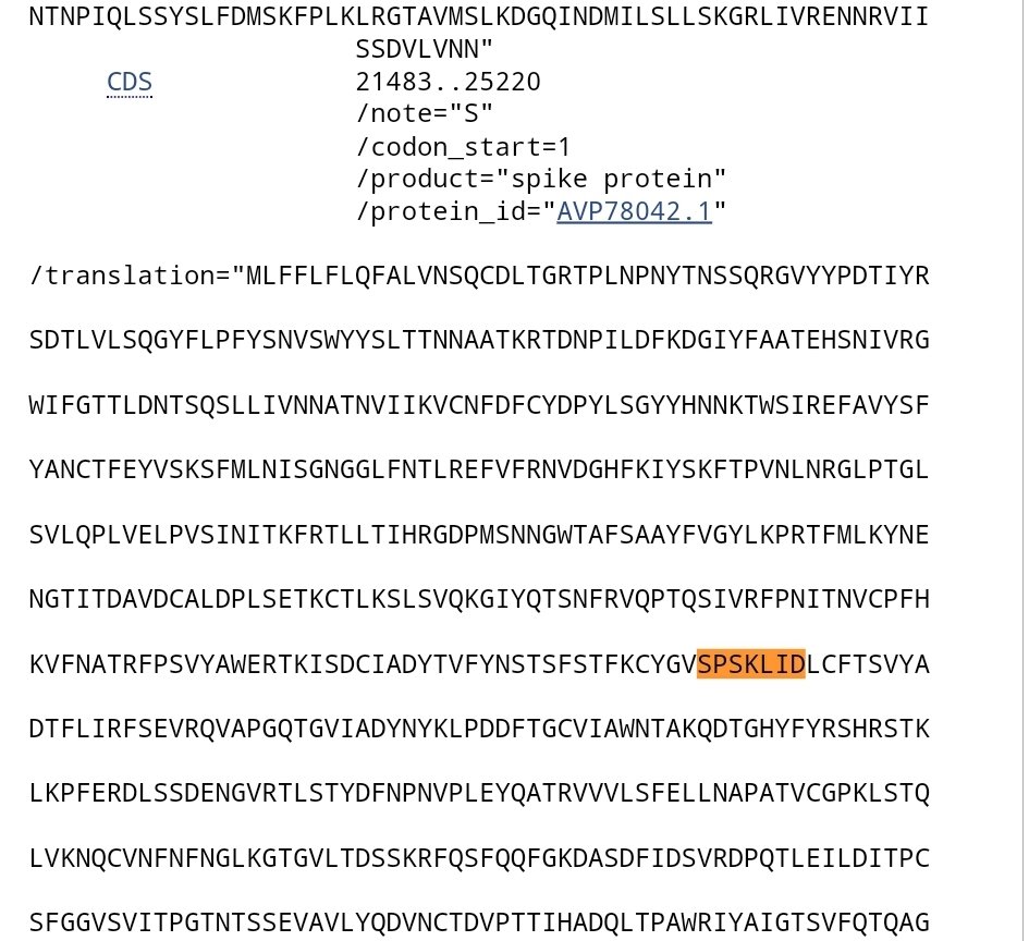 FoolsMultiply's tweet photo. @tommy_cleary @R_H_Ebright @Daoyu15 @RealKeeny @elonmusk @Twitter @WHO @DavidRelman @edwardcholmes @ydeigin @pathogenetics What is at work for the sequence <SPSKLID> to be contained within the #SpikeProtein of #ZXC21 &amp; #ZC45 both uploaded by  #ChineseMilitaryMedicine on 28/3/18. And the same <SPSKLID> contained within the #SpikeGlycoProtein of the #Baric Recombinant #SyntheticClone uploaded 29/11/08? https://t.co/f9N0AjzJal