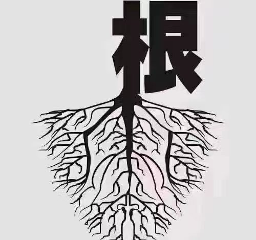 gm413119's tweet photo. 每一个优秀的人
都有一段沉默的时光
那段时光，是付出了很多努力
却得不到结果的日子
我们把它叫做
———扎根 https://t.co/4n0QNa96Jd