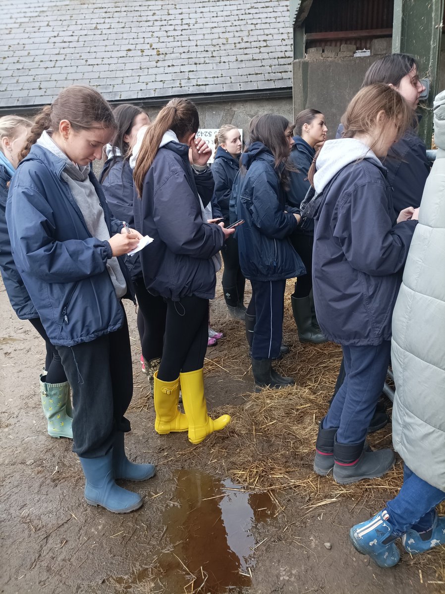 MacklinagMs's tweet photo. Fabulous morning on Fieldstown farm. Padraic is a great example of how farming can connect to the wider society. The students made memories to cherish for many years to come @IrishAngusBeef @farmersjournal @IFAmedia @ManorHseRaheny @Steminists_MHS @ManorHouseTY https://t.co/rCL1EKQ6Nr