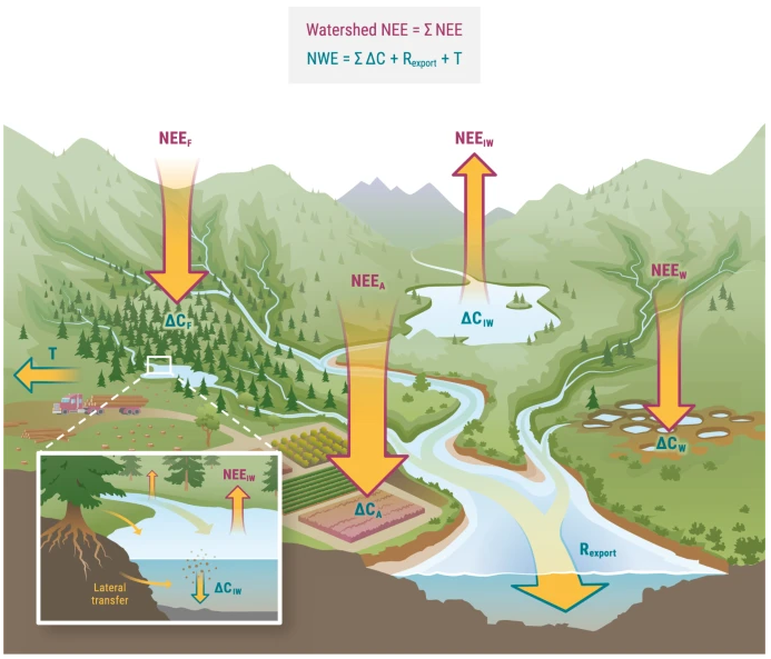 NatureComms's tweet photo. Integrating terrestrial and aquatic ecosystems to constrain estimates of land-atmosphere carbon exchange

https://t.co/g5xJYiqeZW https://t.co/zkhRUriFlR