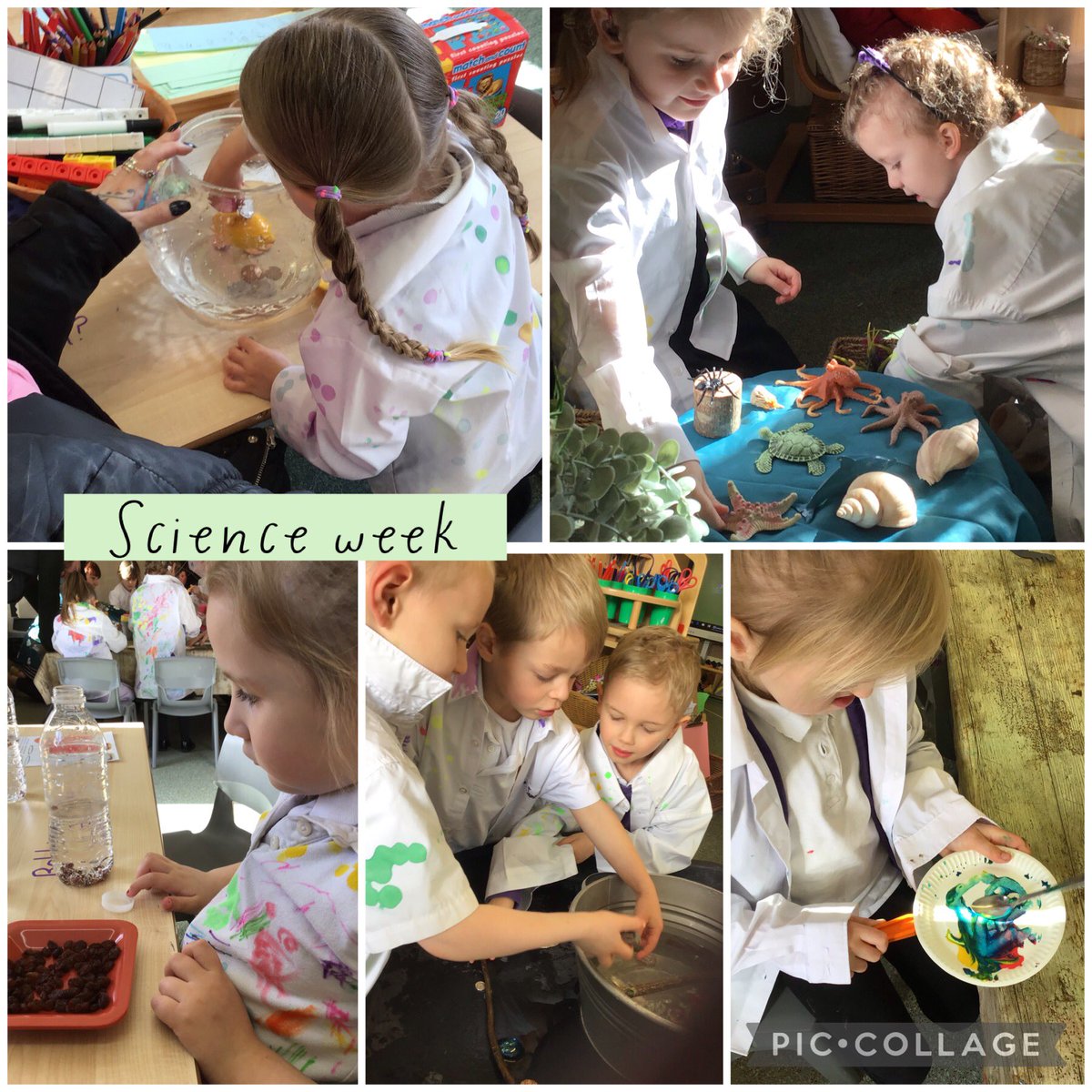 LaceyField EYFS tweet media