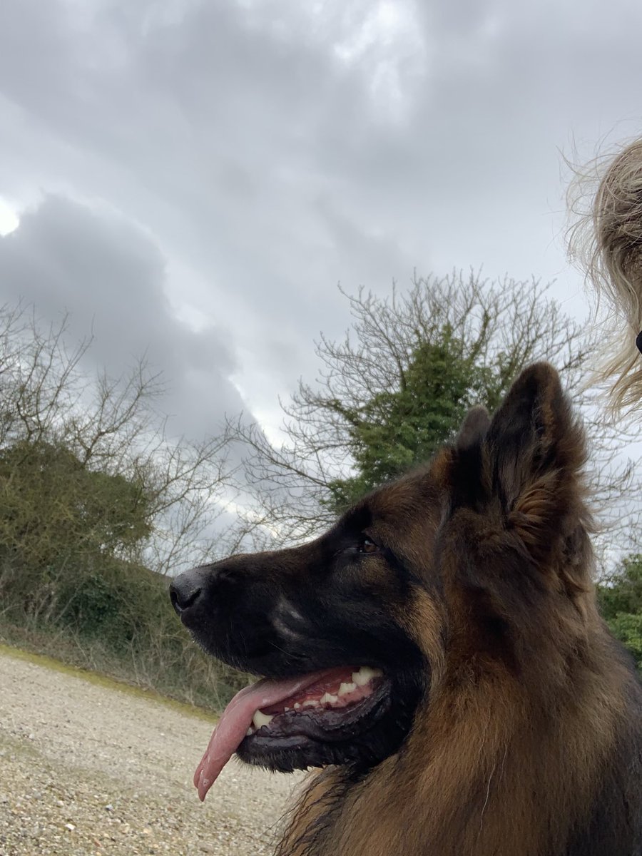 potter5111's tweet image. Il va pleuvoir kel dit la maine pas grave j’adore l’eau ! Allez courage maine encore un quart d’heure de balade et on rentre 🤣