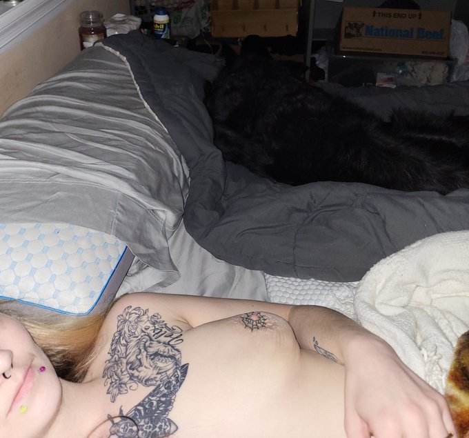 When the fiance leaves for work so you get doggo snuggles 🥹 $SilverMoon232 https://t.co/a95YFJJt5I<a href="/tag/bathtime"class="tags"><span>#bathtime</span></a><a href="/tag/spoilme"class="tags"><span>#spoilme</span></a><a href="/tag/feedme"class="tags"><span>#feedme</span></a><a href="/tag/contentforsale"class="tags"><span>#contentforsale</span></a>