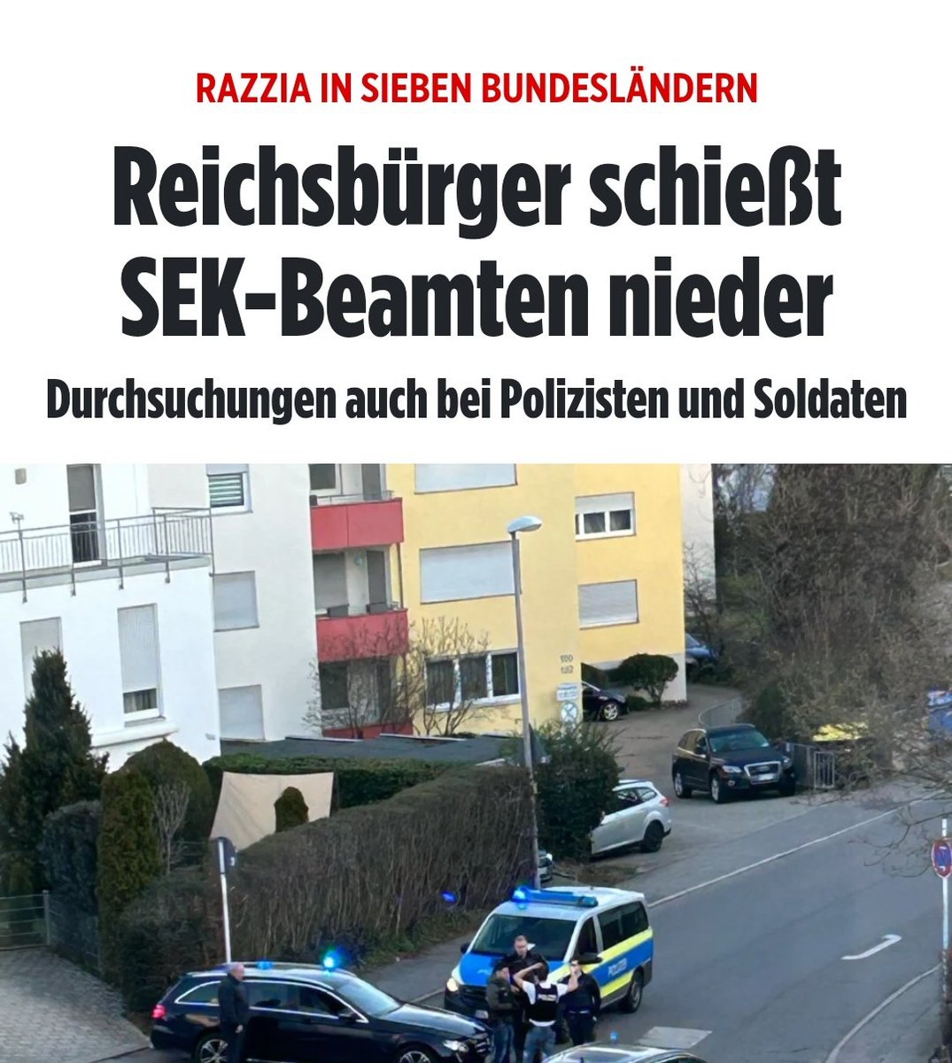 Ella 🇸🇪 tweet media