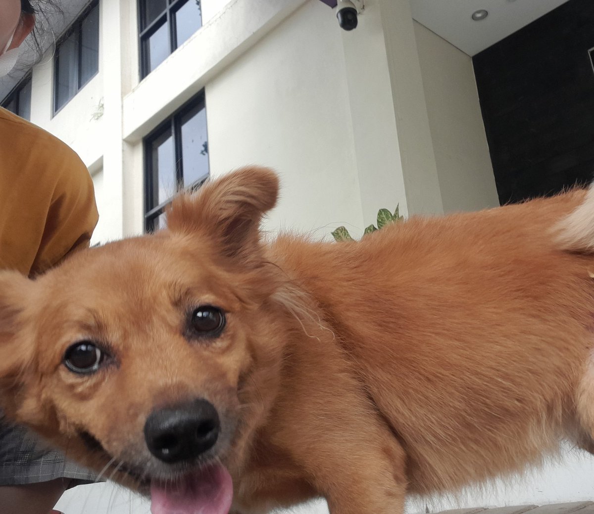 Endaina's tweet photo. Jemput Zoey....#happyface https://t.co/Pc0bSCQykl