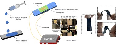 RSCAdvances's tweet photo. Revealing the Improved Sensitivity of PEDOT: PSS/PVA Thin Films through Secondary Doping and their Strain Sensors Application.  Find it out in this recent work by Dania et al., 2023. 

🔗 https://t.co/saLgrwkUYg

@SNS_CAM, @uitmofficial, @DaniaAdila_AR

#UiTM #QatarUniversity https://t.co/fMav3oZHVX