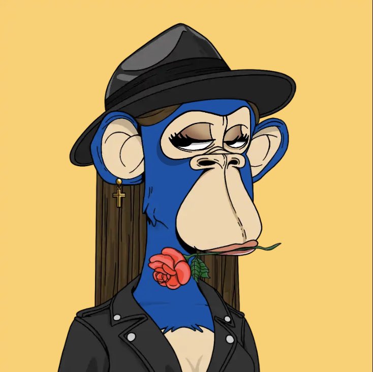 The Boredettes 🎀 tweet media