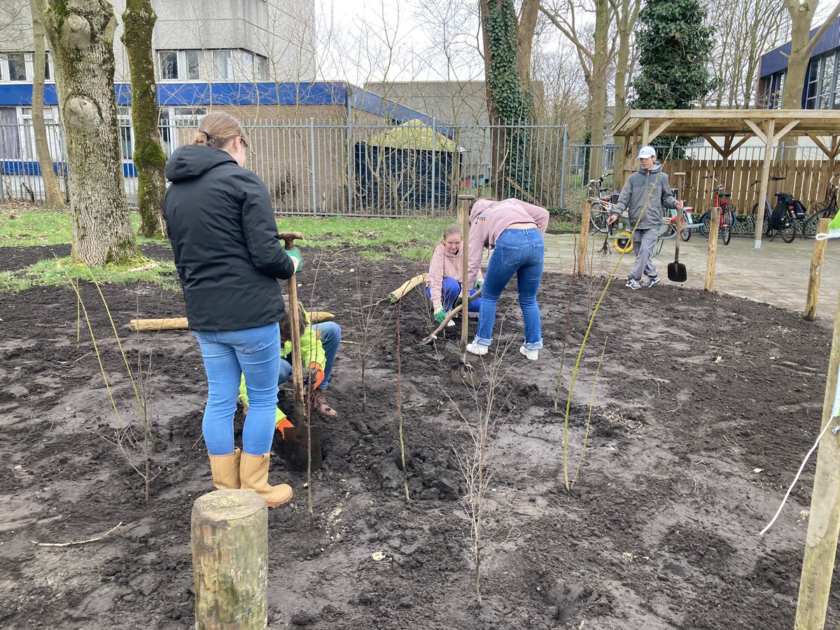 RoelkeHNienhuis's tweet photo. Vanmorgen heeft wethouder @MirjamWijnja de 4e #TinyForest in @gem_groningen geopend samen met leerlingen van #DeDunk in #Vinkhuizen De wijk is een Vinkebos rijker. Het schoolplein wordt verder vergroent vanuit #Steenbreek 👍 samenwerking met @IVNRegioNoord en @DolmansGroup https://t.co/1BlqG3bkmZ