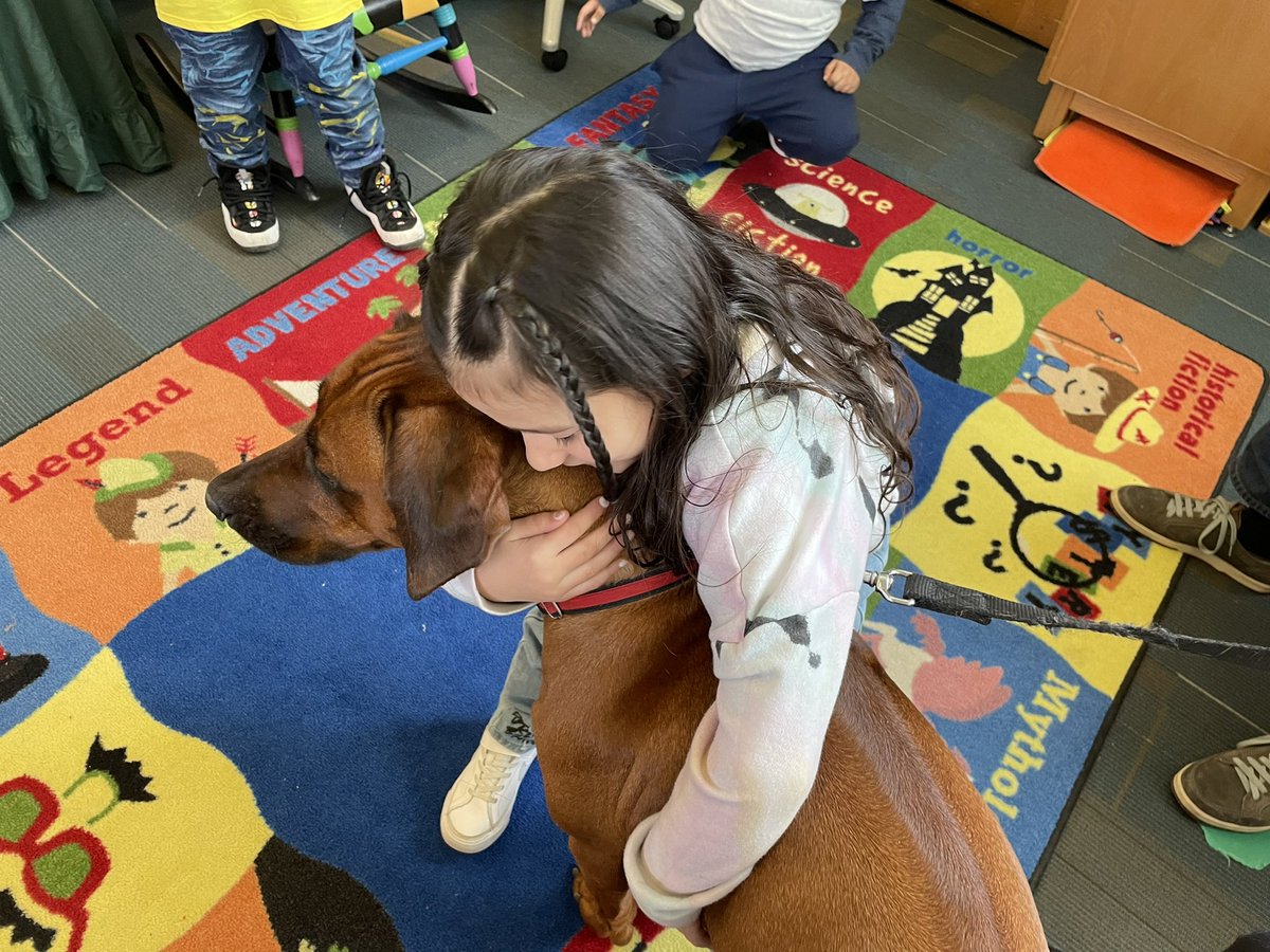 RCSDHBM's tweet image. We had a wonderful SEL visit from Kanzi in the library yesterday. She is a Rhodesian Ridgeback and we love her visits! 📚💚🐾 @RCSDNYS  @RCSDLibraries  #onercsd