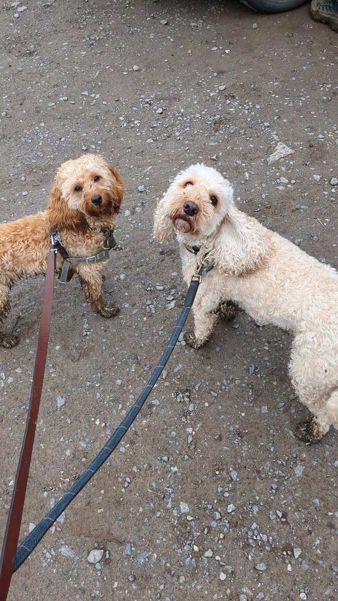 Katty Flatman tweet media