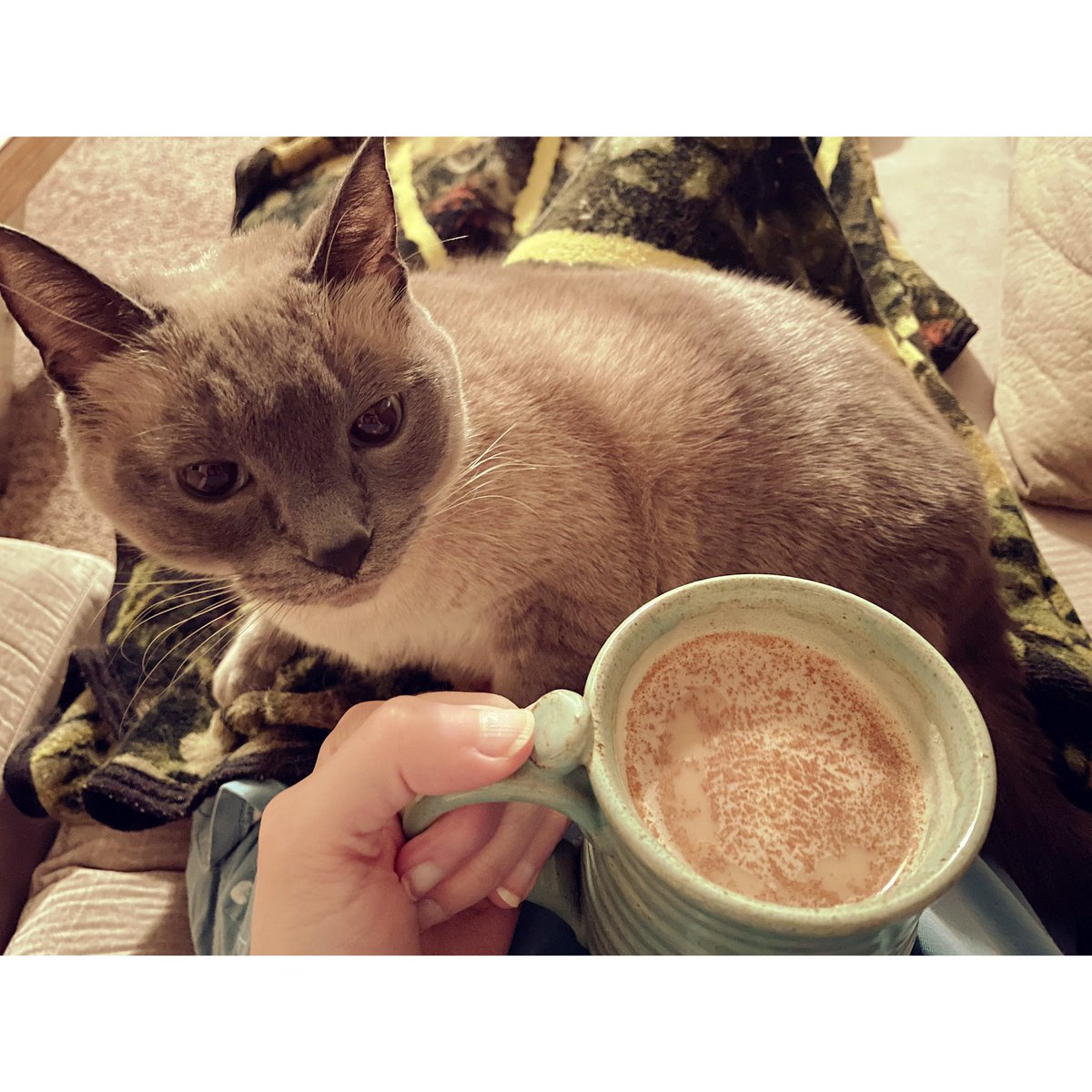 thenomadyears's tweet photo. Good morning, from my coffee sniffing, book reading, sunrise watching, &amp; everything-else-she-can-join-in, buddy. https://t.co/MXlucUwhn5