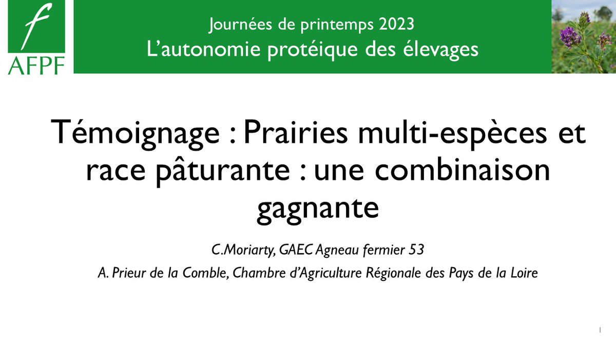CapProteines's tweet photo. [ #AFPF @AFPF_FrPrairie ]
Aurore Prieur de la Comble de la @ChambagriPdL présente le Gaec Agneau fermier 53, en Mayenne et son autonomie permise par les #prairies multi-espèces et des races pâturantes 🐑☘️🌱
👉🏽Fiche sur  https://t.co/SF1YADl8Y1
🎞️Vidéo sur https://t.co/4mA0a5NpGM https://t.co/q558ysJQWT
