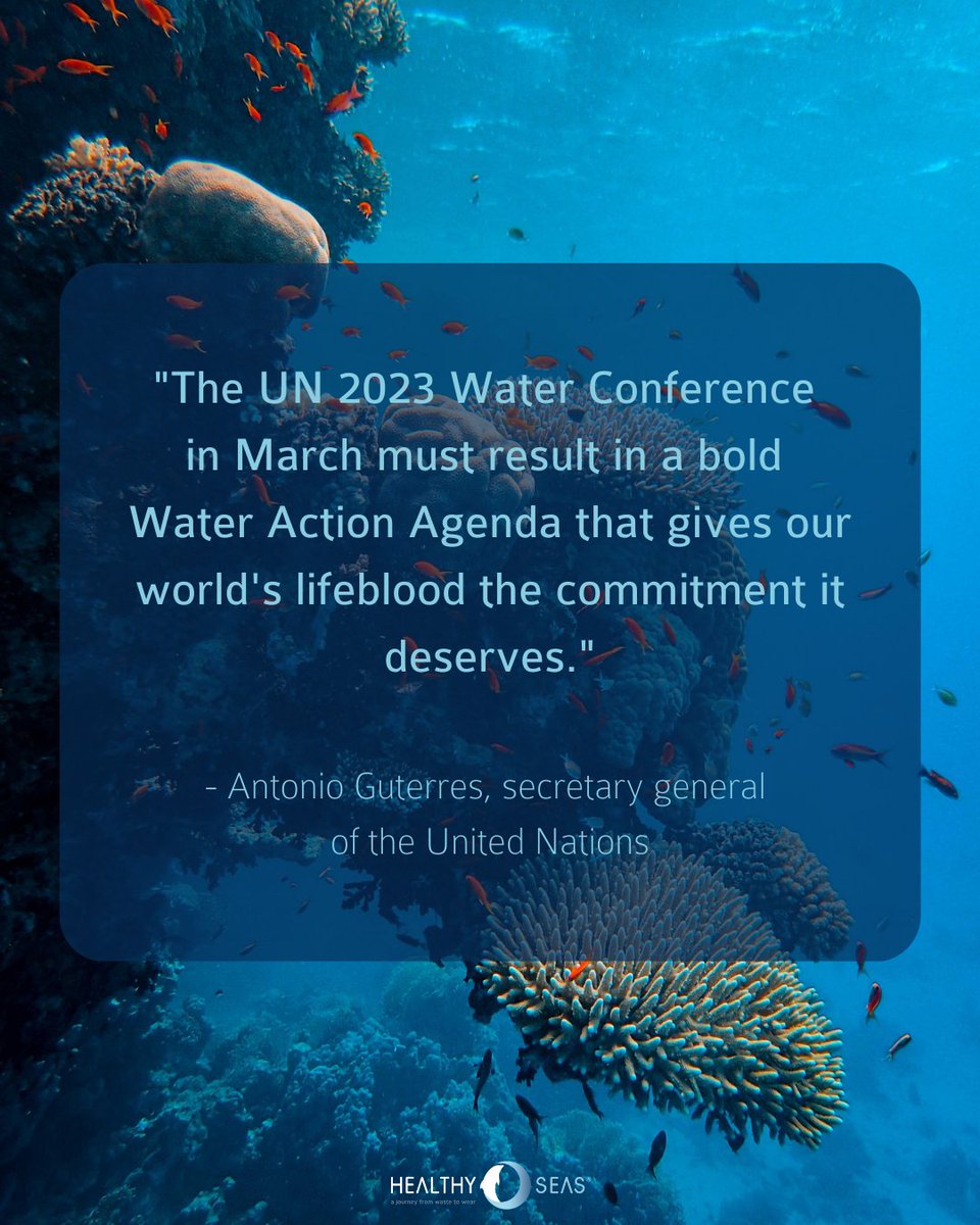 healthyseas_org's tweet photo. Our wonderful ambassador @GelarehDarabi will be present at the @UN #WorldWaterConference for the next few days. Stay tuned and follow us on Instagram (@healthyseas) to get some exclusive insights to this special event ☺️
What's a topic you'd like to see addressed? https://t.co/XvGSllJZIc