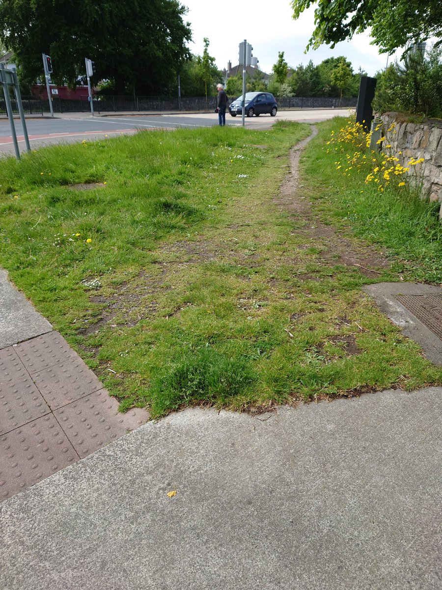 Oisín Ó Nidh tweet media