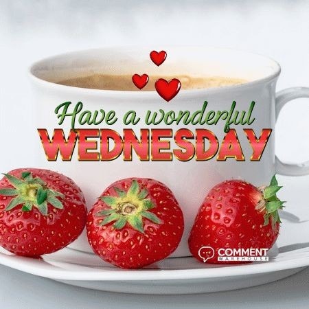 Happy hump day 😁 you can see the weekend from here ❤️
#wednesday #wednesdays #wednesdaywisdom #wednsday #wednesdaymotivation #wednesdayvibes #wednesdayedit #wednesdaze #wednesdaymood #wednesdate #wednesdaymorning #wednesdayquotes #wednesdaythoughts #wednesdayfeels #wednesdaywell