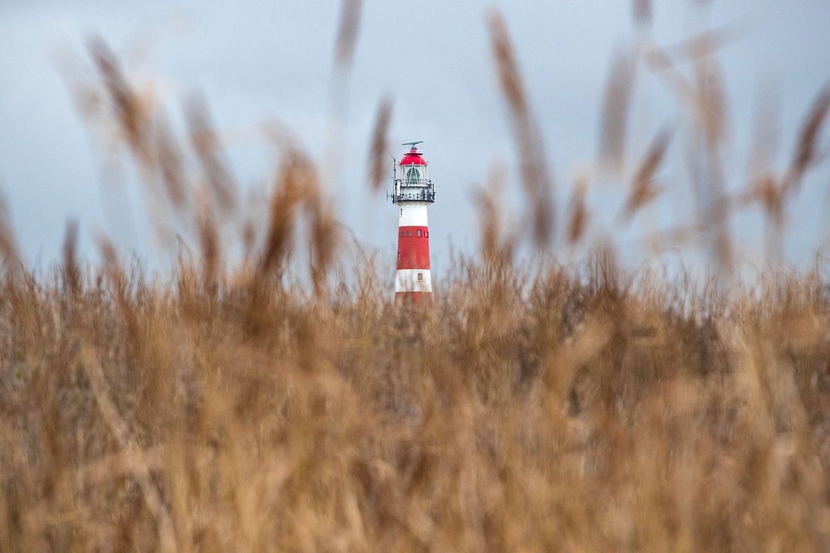 zutphenspersbur's tweet photo. Basiscursus fotografie https://t.co/ut3qhoBsPd https://t.co/lffghkMeMC