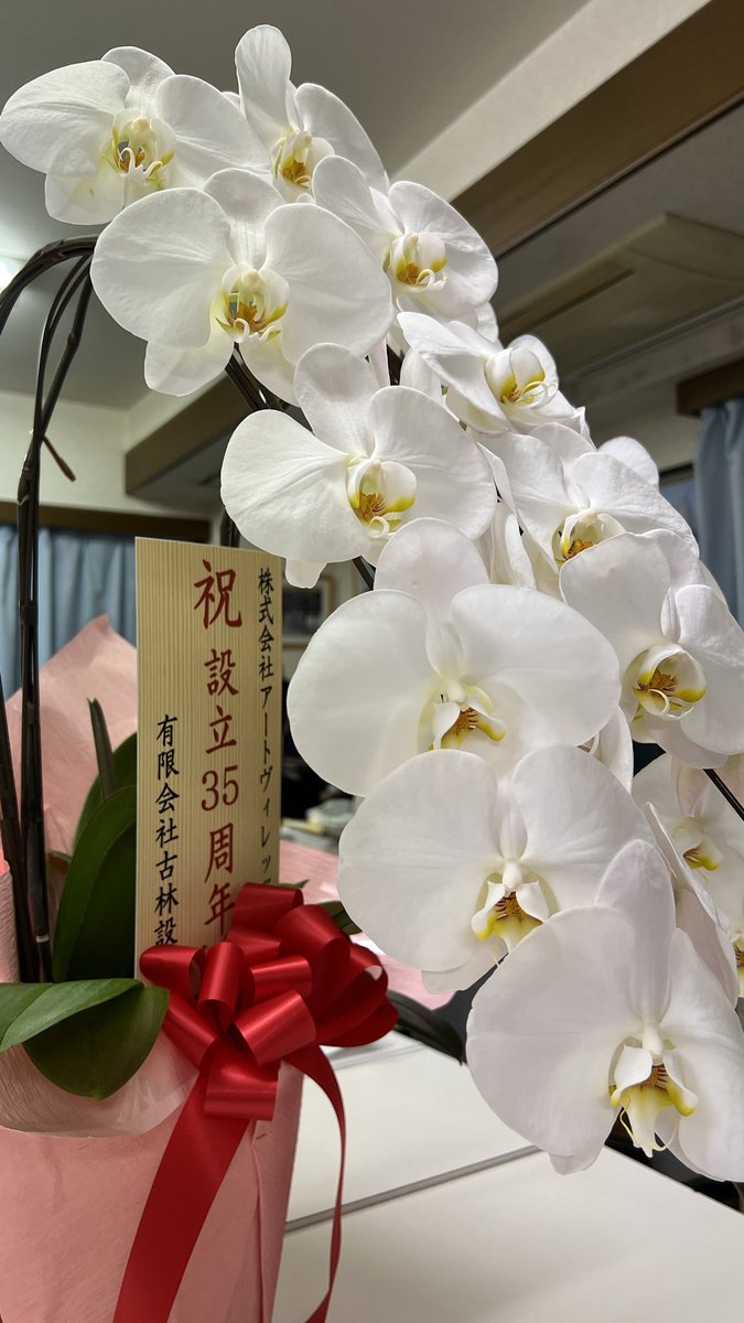 本日、会社の未来が決定しました。後々、正式発表します。
大きな決断をしました。

さて、本日22日は、今から35年前に、練馬登記所近くの司法書士さんから、会社登記申請をして頂いた日になります。
来る3月25日、会社設立35年となります。
古林設計の古林さんから、お祝いの胡蝶蘭を頂きました。