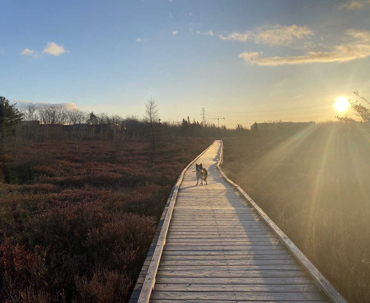 kcopela's tweet photo. A beautiful fake commute this morning! #MakeYourMoveAtWork @NSMoves https://t.co/3dMKfJel4F