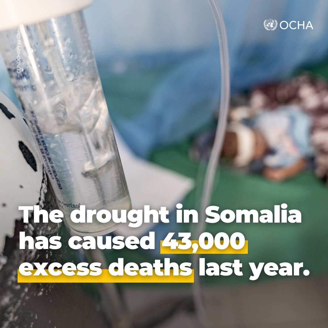 rghelani's tweet photo. There is clear evidence that the drought in Somalia has caused excess deaths. Numbers have been increasing sharply since 2021.

Behind these numbers, there is loss, and grief. These deaths are entirely preventable. We can, and must act now. https://t.co/0MabKpq3A4