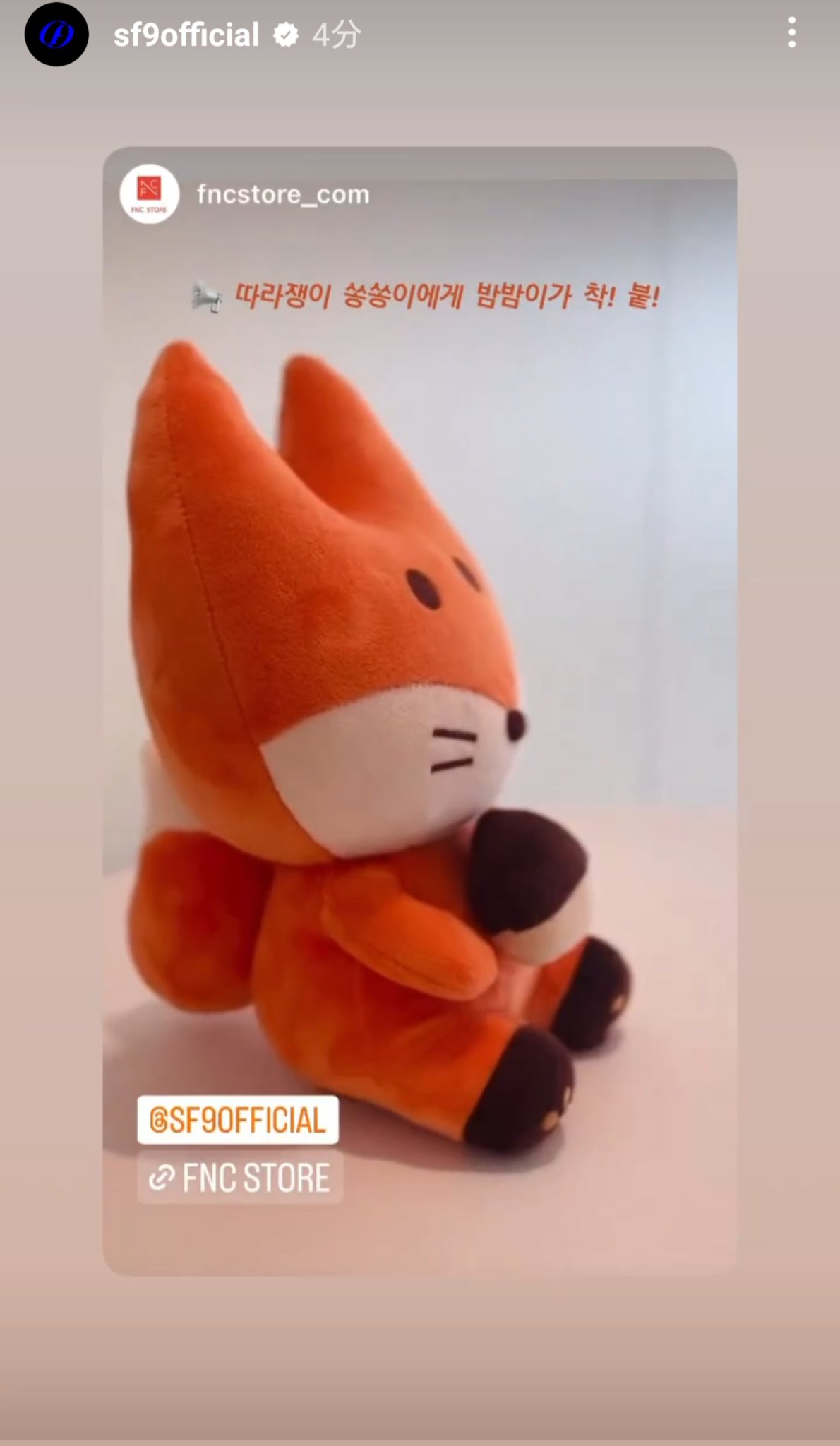 SF9 ぬいぐるみ ソンソン