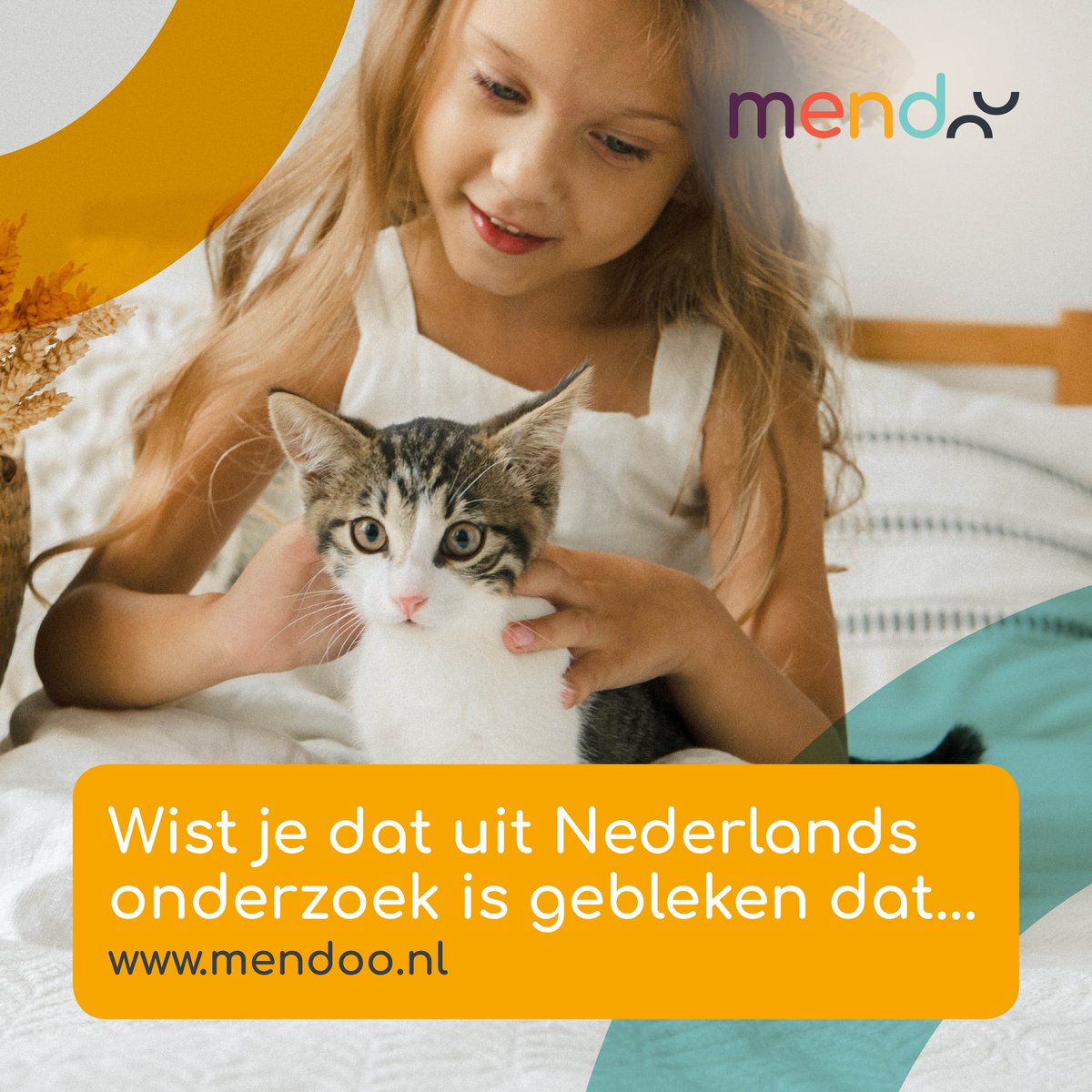 Uit Nederlands onderzoek blijkt dat:
🔹33% van de slachtoffers van #huiselijkgeweld met huisdier aangeeft dat de (ex-)partner wel eens heeft gedreigd het huisdier pijn te doen? 
🔹55% aangeeft dat de (ex-)partner het huisdier daadwerkelijk heeft pijn gedaan of gedood? 😭