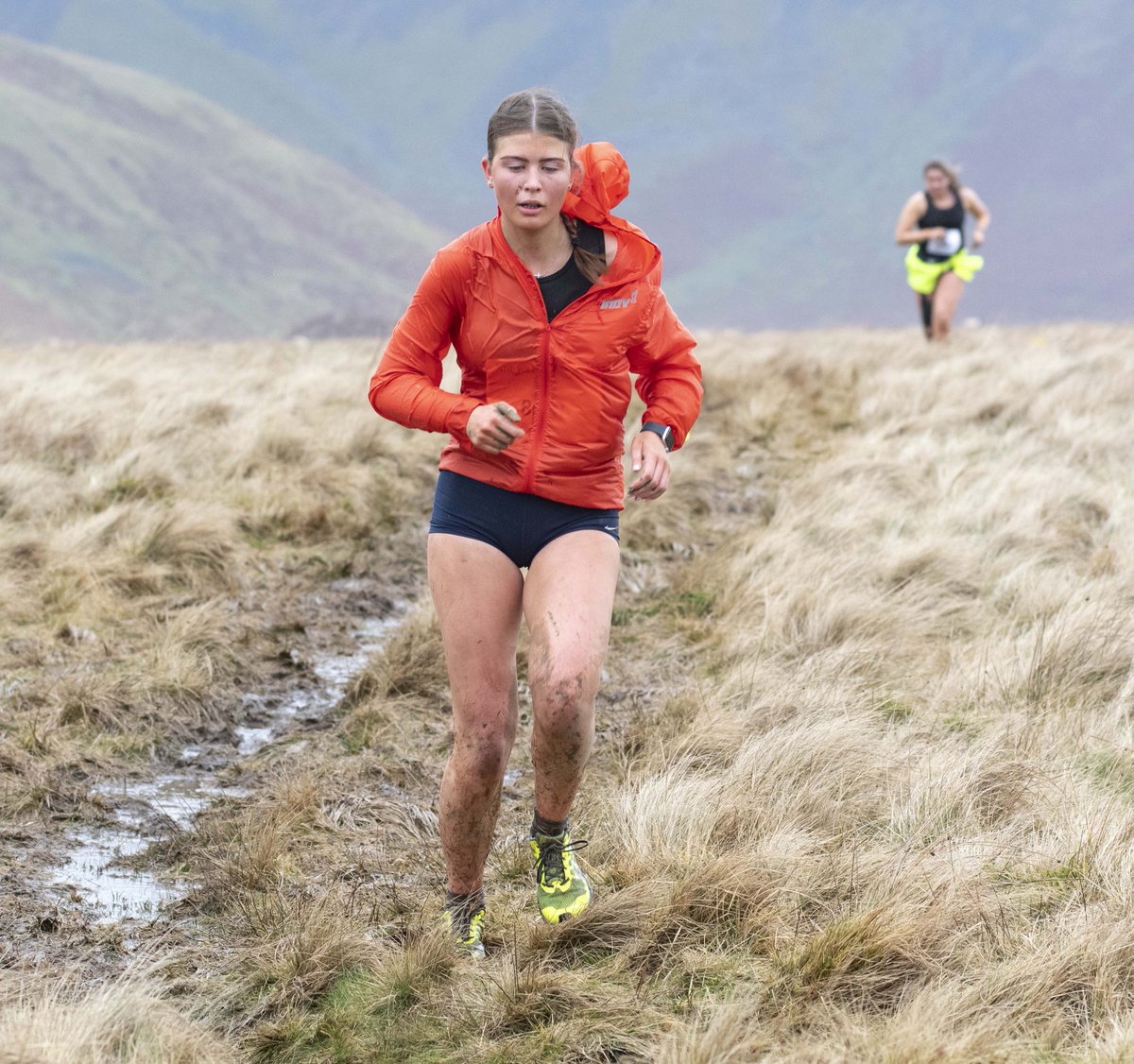 Lupton Sedbergh tweet media