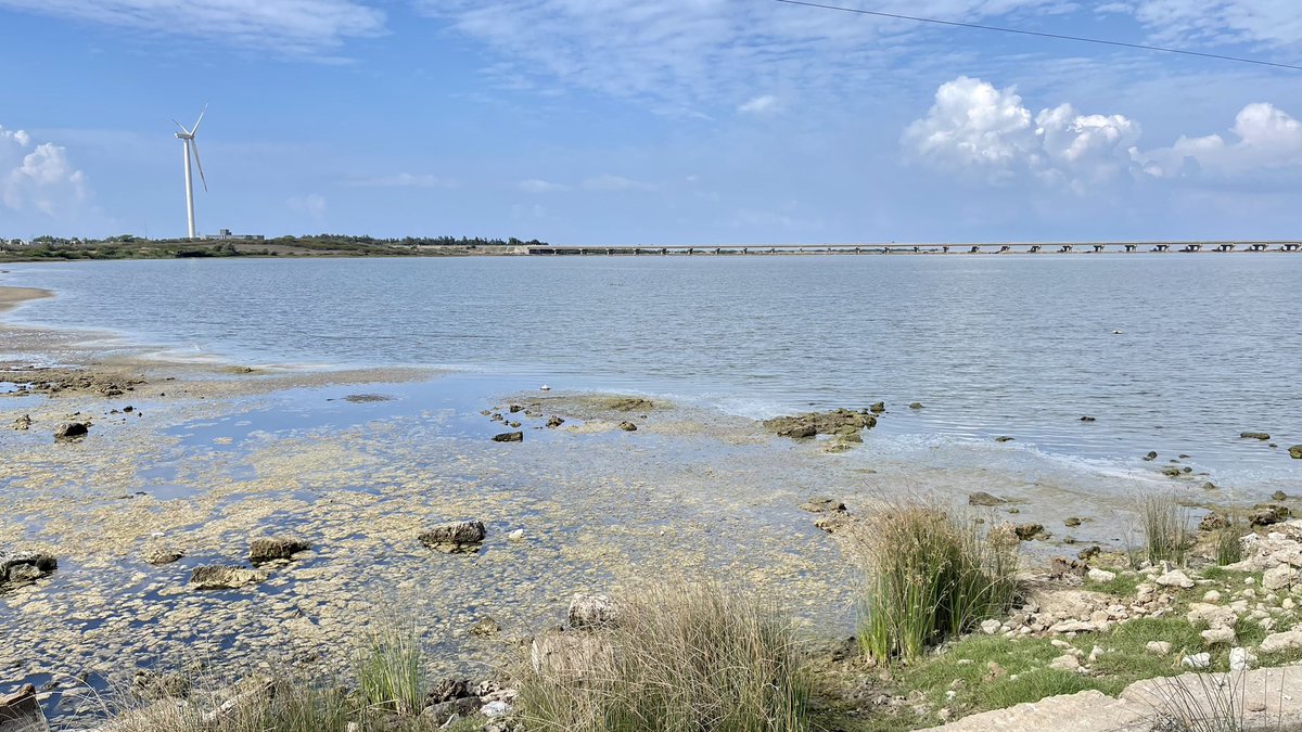 પોરબંદર જિલ્લાનો મહત્વપૂર્ણ કર્લી રીચાર્જ રીઝરવોયર (મોકરસાગર) પ્રોજેક્ટની સ્થળ પર રૂબરૂ મુલાકાત લઇ સંલગ્ન અધિકારીઓ સાથે ચર્ચા કરી જરૂરી દિશા નિર્દેશ કર્યા.