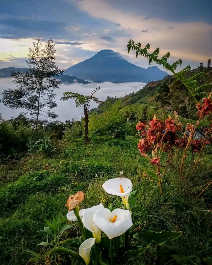Kesalehan ritual atau kesalehan ibadah tidak selalu mencerminkan kesalehan perilaku.

Sebaliknya, kesalehan perilaku adalah cermin dari pikiran yang bersih...

#NusantaraBukanKhilafah #NusantaraBukanNegeriSyariah