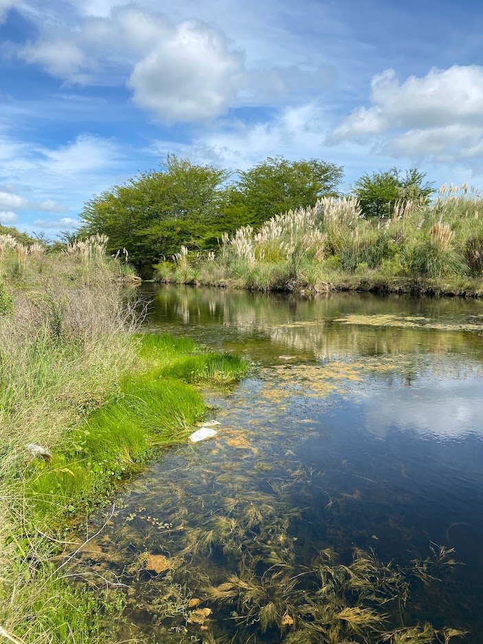 PNUD en Argentina 🇦🇷 tweet media