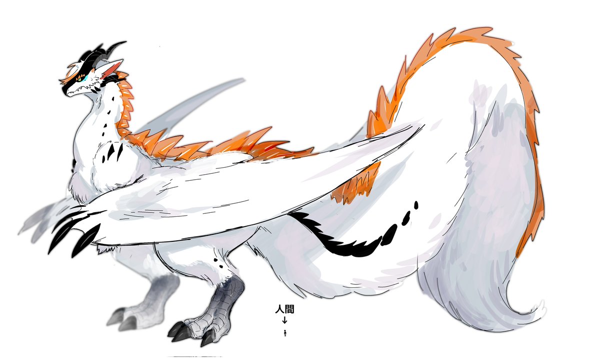 竜形態代理ちゃんの全身デザイン&サイズ比較絵です 