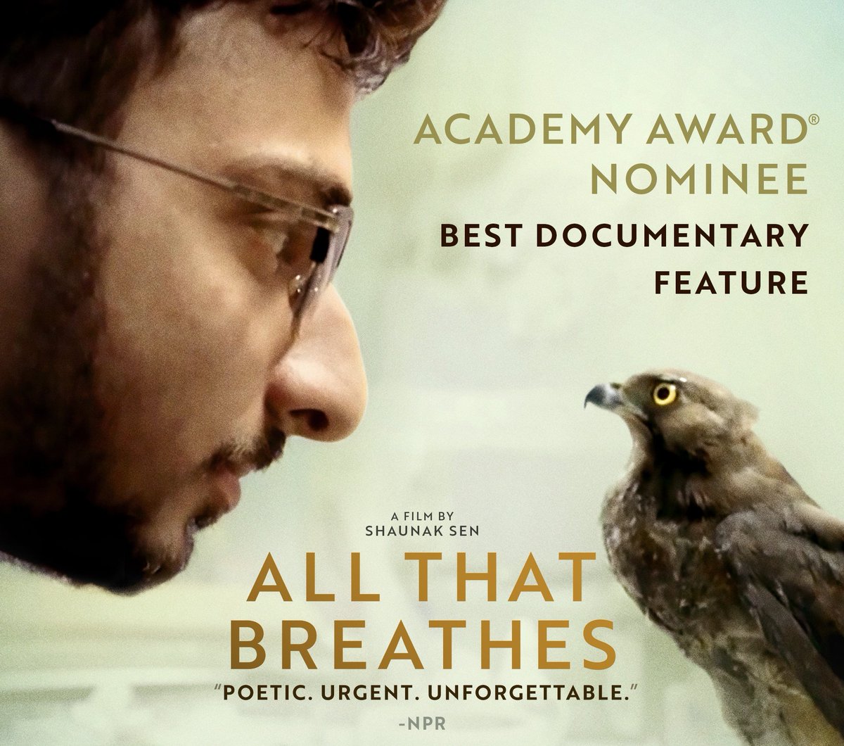 #AllThatBreathes is now streaming on Disney+ Hotstar in Hindi audio with English subtitles.