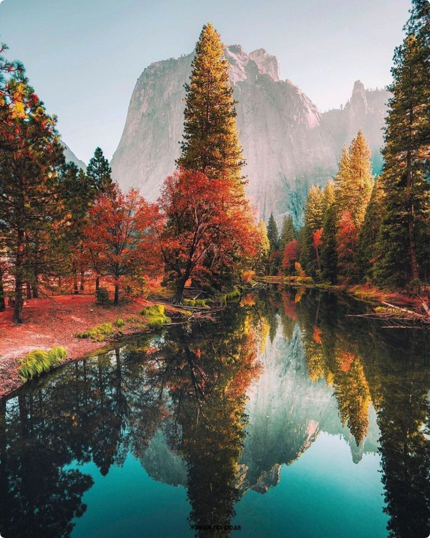 AlphaXAdventur1's tweet photo. Bom dia!
Tenha uma excelente quarta-feira!
#images #FOTO #fotografia #photo #photography #Bomdia #fotododia #quartafeira https://t.co/zHRaHvLL8V