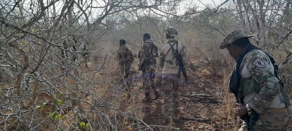 SONNALIVE's tweet photo. #Somali National Army has successfully executed a planned operation in the #LowerJuba region, killing at least 5 #AlShabaab militants and capturing another. The #SNA is committed to eliminating the terrorist group and is conducting operations in various regions of the country. https://t.co/6NYUv0zkkI