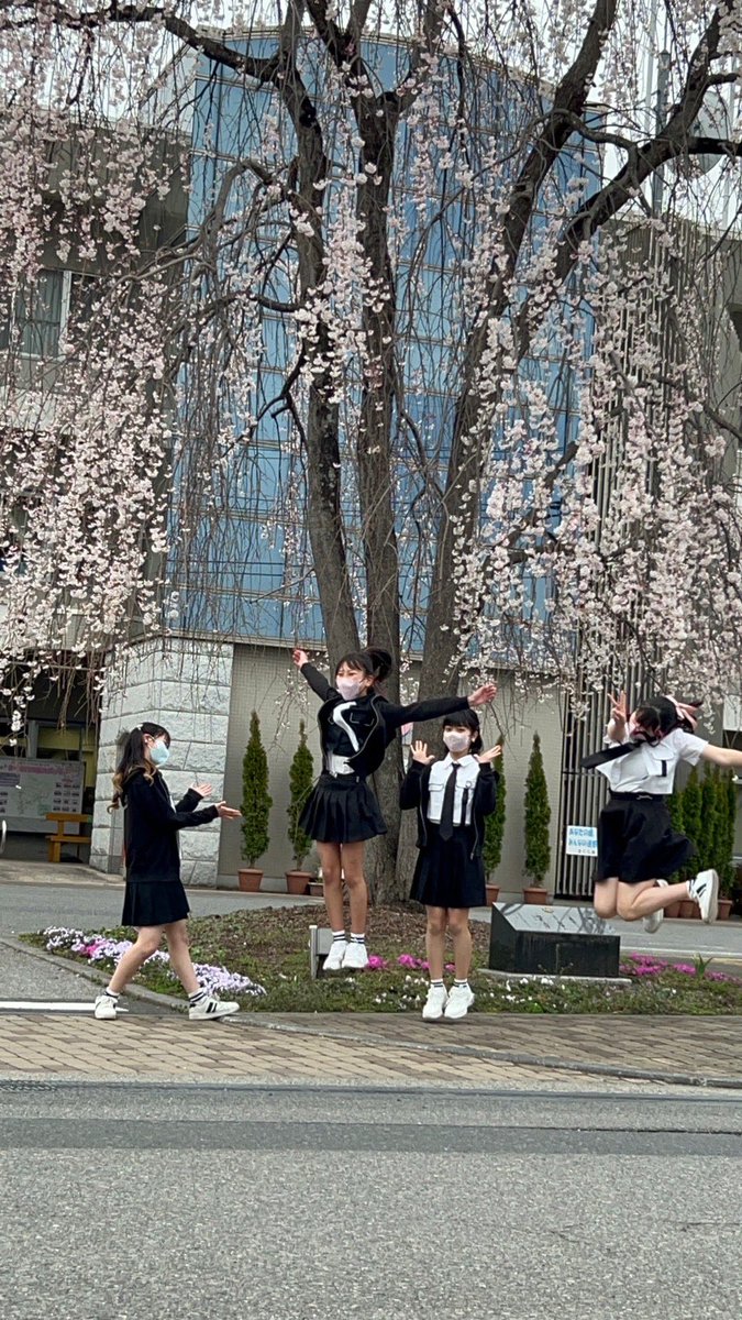 ＼🌸SparkGのさくら市サクラ巡り🌸／
さくら市役所のしだれ桜を見てきました！
3/21(火)時点で満開でとっても綺麗です✨
さくら市には桜の名所がたくさんあります🌸
さくら市のさくらとっても綺麗なのでぜひご覧下さい🥺💫